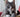 Indoor Cat Nutrition: Keeping Indoor Cats Lean, Active and Stimulated