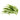 Seaweed